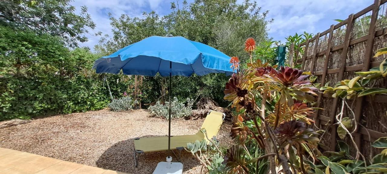 Finca Gamundi L'Ampolla Bagian luar foto