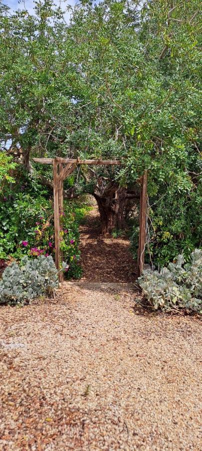 Finca Gamundi L'Ampolla Bagian luar foto