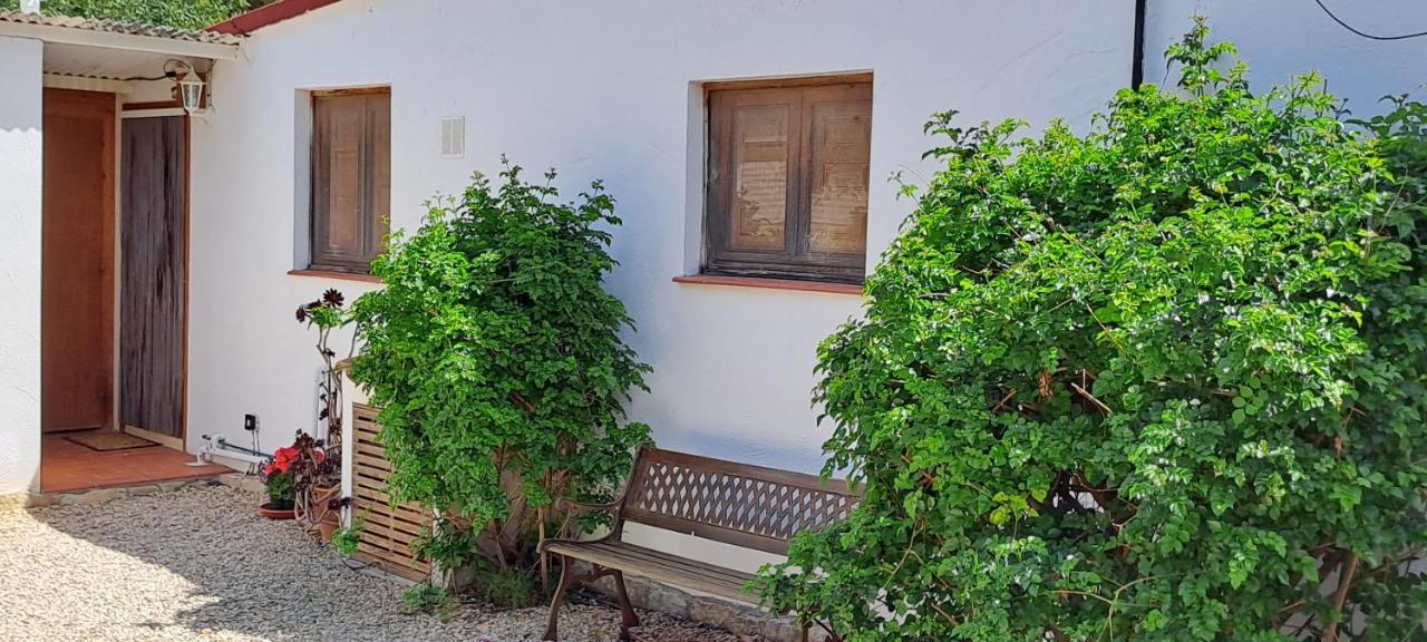 Finca Gamundi L'Ampolla Bagian luar foto