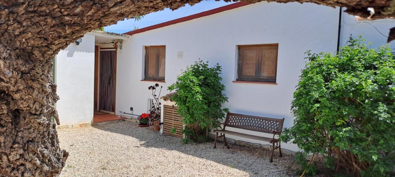 Finca Gamundi L'Ampolla Bagian luar foto
