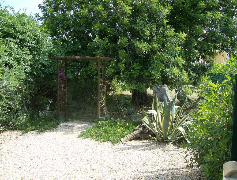 Finca Gamundi L'Ampolla Bagian luar foto