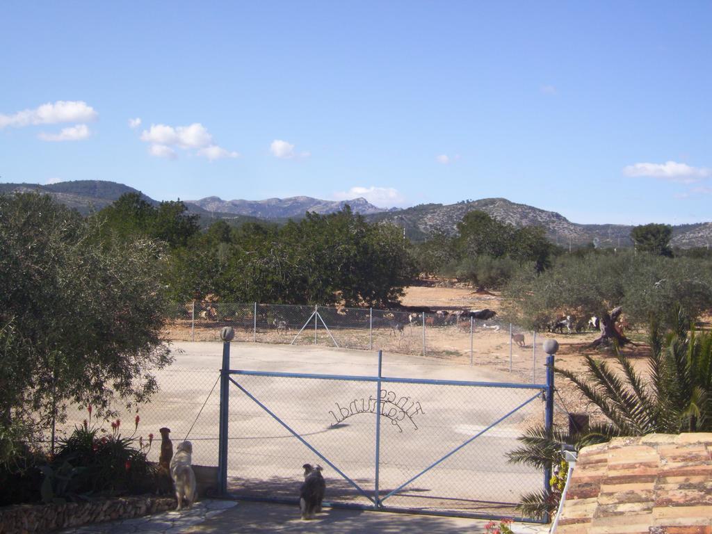 Finca Gamundi L'Ampolla Bagian luar foto